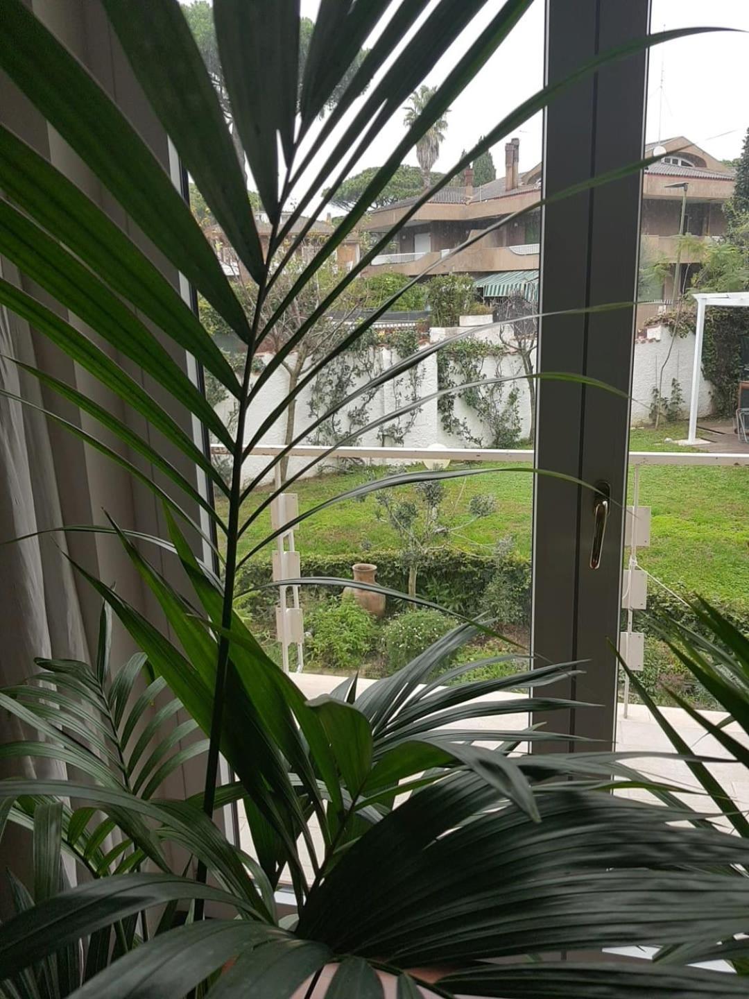 Hotel Roma - Casalpalocco - Amipsia Casal Palocco Esterno foto